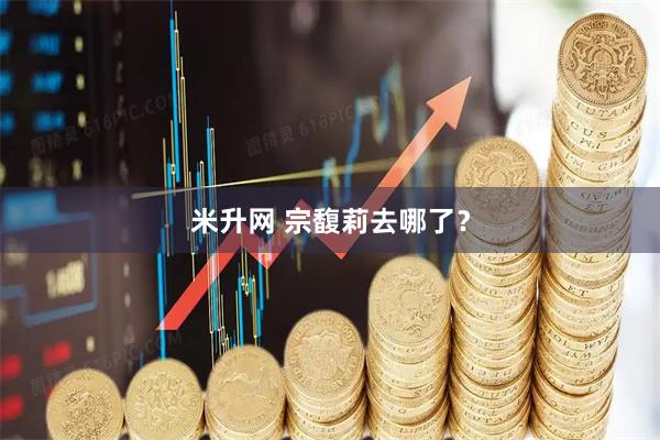 米升网 宗馥莉去哪了？