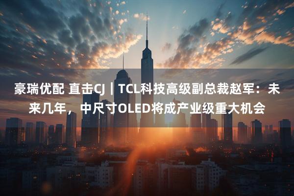 豪瑞优配 直击CJ｜TCL科技高级副总裁赵军：未来几年，中尺寸OLED将成产业级重大机会